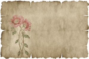 Parchment, Paper, Leaves, Flower, Old, Texture - Hoja De Pergamino Png, Transparent Png PNG image with transparent background