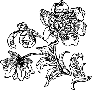 Big At Getdrawings - Black And White Flower Drawing Png, Transparent Png PNG image with transparent background