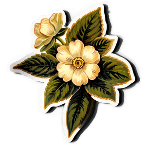 Vintage Floral Sticker PNG 05252024 PNG with transparent background