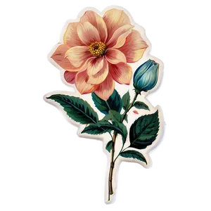 Vintage Floral Sticker Png 05252024 PNG Image