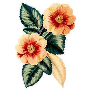 Vintage Floral Sticker Png Rky20 PNG Image