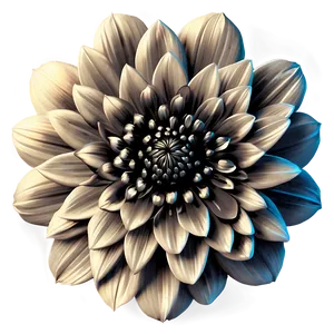 Vintage Flower Black And White Png 05252024 PNG Image