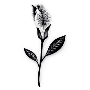 Vintage Flower Black and White PNG 05252024 PNG with transparent background