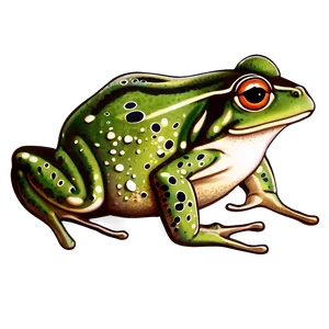 Vintage Frog Clipart Png 48 PNG Image