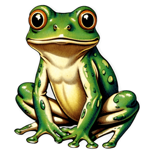 Vintage Frog Drawing PNG ndr PNG