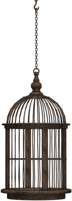Black Hanging Bird Cage, HD Png Download PNG with transparent background