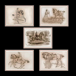 Vintage Horse Illustrations Collage PNG image with transparent background