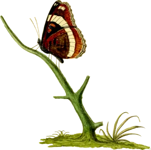 Vintage_ Illustrated_ Butterfly_ Perched PNG Image