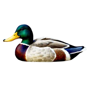 Vintage Mallard Duck Png Esw13 PNG Image