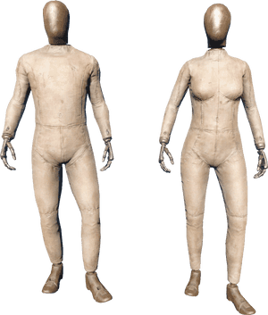 Transparent Female Mannequin Png - Fallout 4 Armor Rack, Png Download PNG image with transparent background
