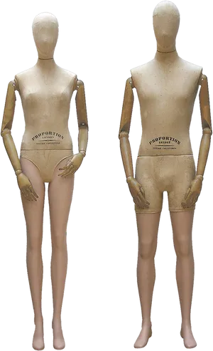 Vintage Mannequins Standing Pose PNG Image