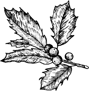 Holly - Holly - Holly - Mistletoe Tattoo PNG image with transparent background