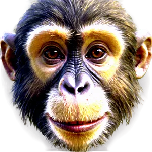 Vintage Monkey Face Art Png Oia35 PNG Image