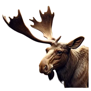 Vintage Moose Illustration Png Owj PNG Image