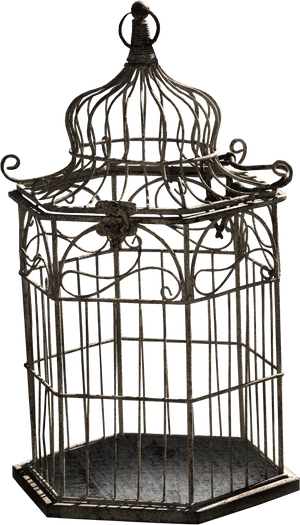 Cage D Oiseau Dessin, HD Png Download PNG