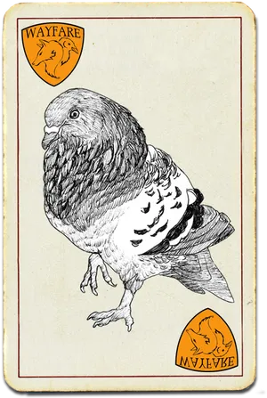 Vintage Pigeon Illustration Card PNG Image