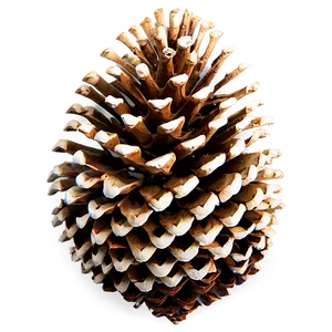 Vintage Pine Cone Png 53 PNG Image