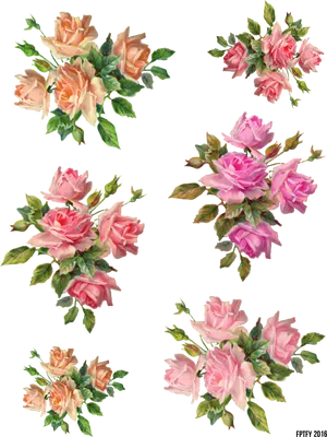 Vintage_ Pink_ Rose_ Collection PNG Image