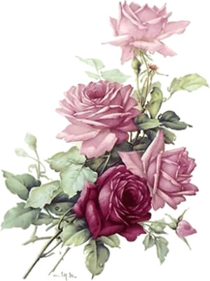 Vintage Pink Roses Bouquet PNG Image