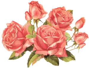 Vintage Pink Roses Cluster.png PNG Image