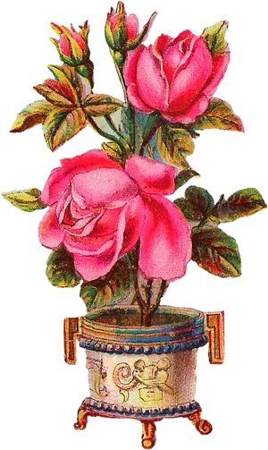 Vintage Pink Rosesin Decorative Pot PNG Image