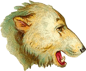 Digital Polar Bear Head Clip Art - Lion, HD Png Download PNG with transparent background