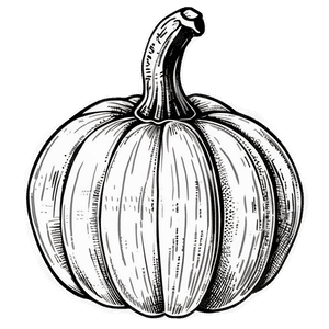 Vintage Pumpkin Outline Picture PNG 06202024 PNG