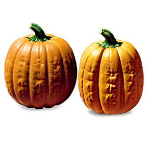 Vintage Pumpkin Outline Picture PNG 23 PNG