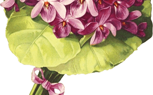 Victorian Floral Purple Nosegay Clipart - Moth Orchid, HD Png Download PNG image with transparent background