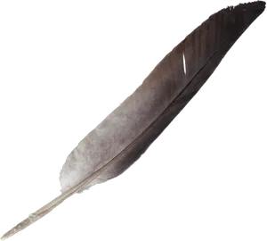 Vintage Quill Feather Pen.png PNG Image