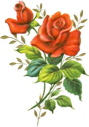 Vintage Red Roses Artwork PNG Image