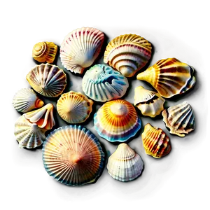 Vintage Seashells Png Vse PNG Image