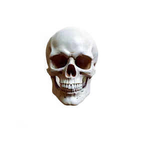 Vintage Skull Face Rendering Png Hge PNG Image