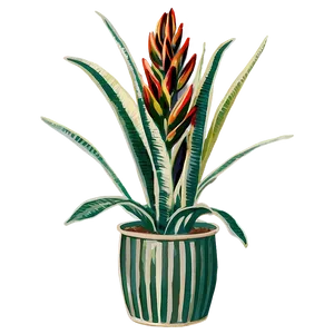 Vintage Snake Plant Png 59 PNG Image