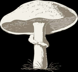 Vintage Style Mushroom Illustration PNG with transparent background