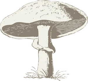 Vintage Style Mushroom Illustration PNG Image