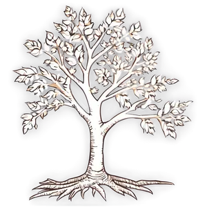 Vintage Tree Outline Png Peb33 PNG Image