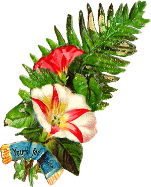 Free Flower Clip Art - Clip Art Images Of Flower Buke, HD Png Download PNG image with transparent background