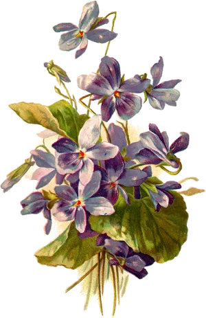 Vintage Violet Floral Illustration PNG Image