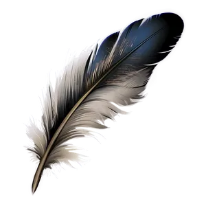 Vintage Writing Feather Png Pqj PNG Image