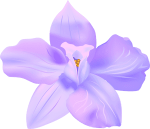 Violets Clip Art, HD Png Download PNG with transparent background