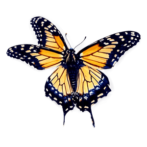 Violet Monarch Butterfly PNG gpq92 PNG image with transparent background