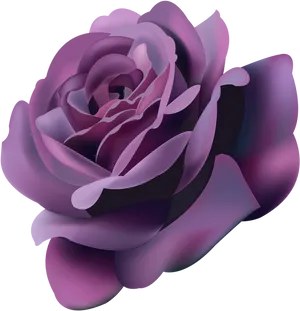 Violet Rose Close Up PNG Image