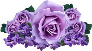 Roses, Violets, Flowers, Arrangement, Cut Out, Isolated - Roses Violets, HD Png Download PNG with transparent background