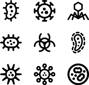 Virus Lineal - Bacteria Vector Png, Transparent Png PNG image with transparent background