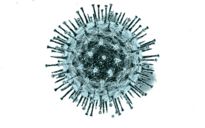 Virus PNG Photo PNG with transparent background