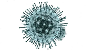 Virus Particle Illustration PNG Image