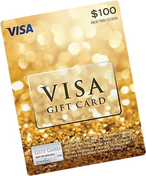 Visa Gift Card100 Dollars PNG Image