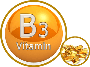 Thumb Image - Vitamin B 3, HD Png Download PNG with transparent background