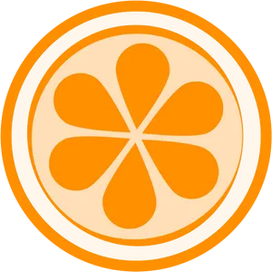 Vitamin C Citrus Representation PNG Image